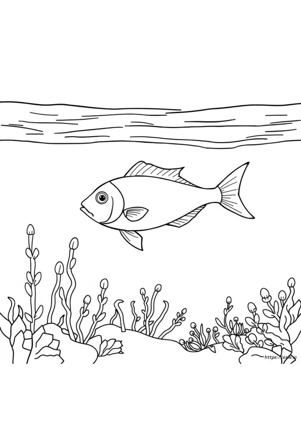 Easy Fish Coloring Pages