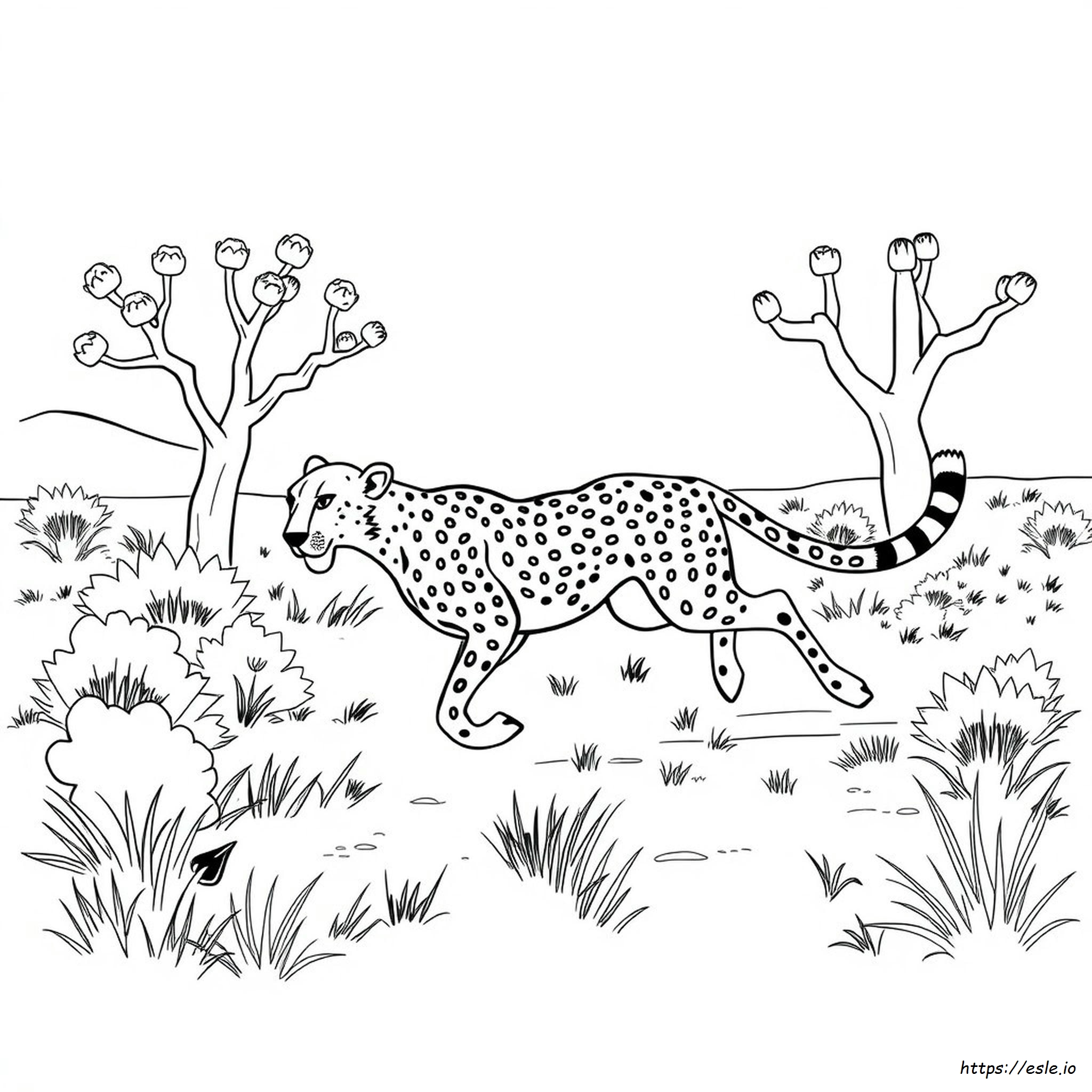 Cheetah Printable Coloring Pages