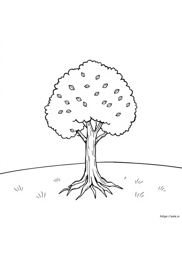 Tree To Color Printable