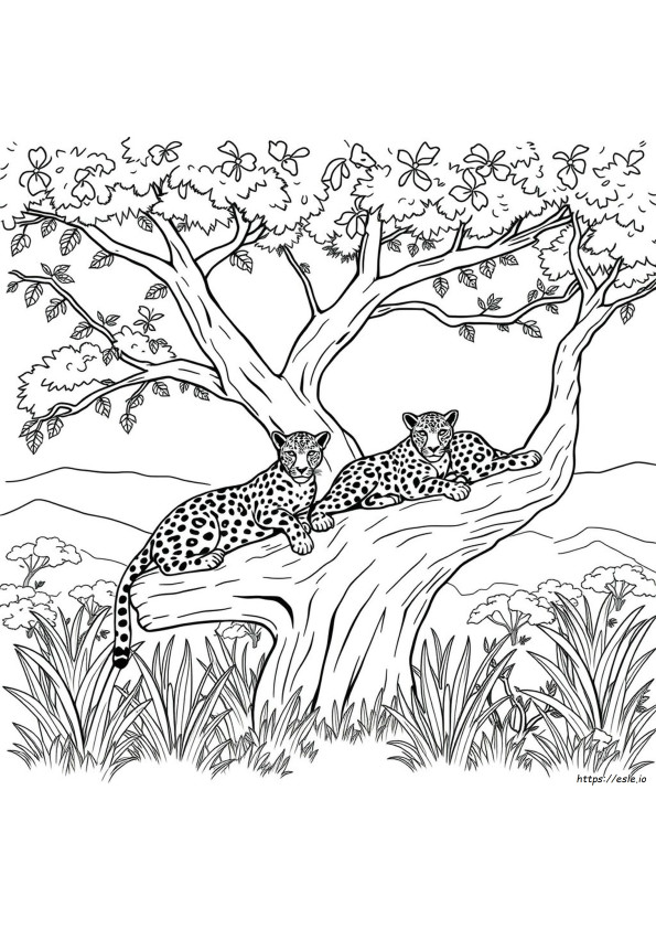Leopard Coloring Pages Pdf
