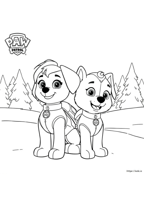 Paw Patrol Ausmalbilder Skye Und Everest
