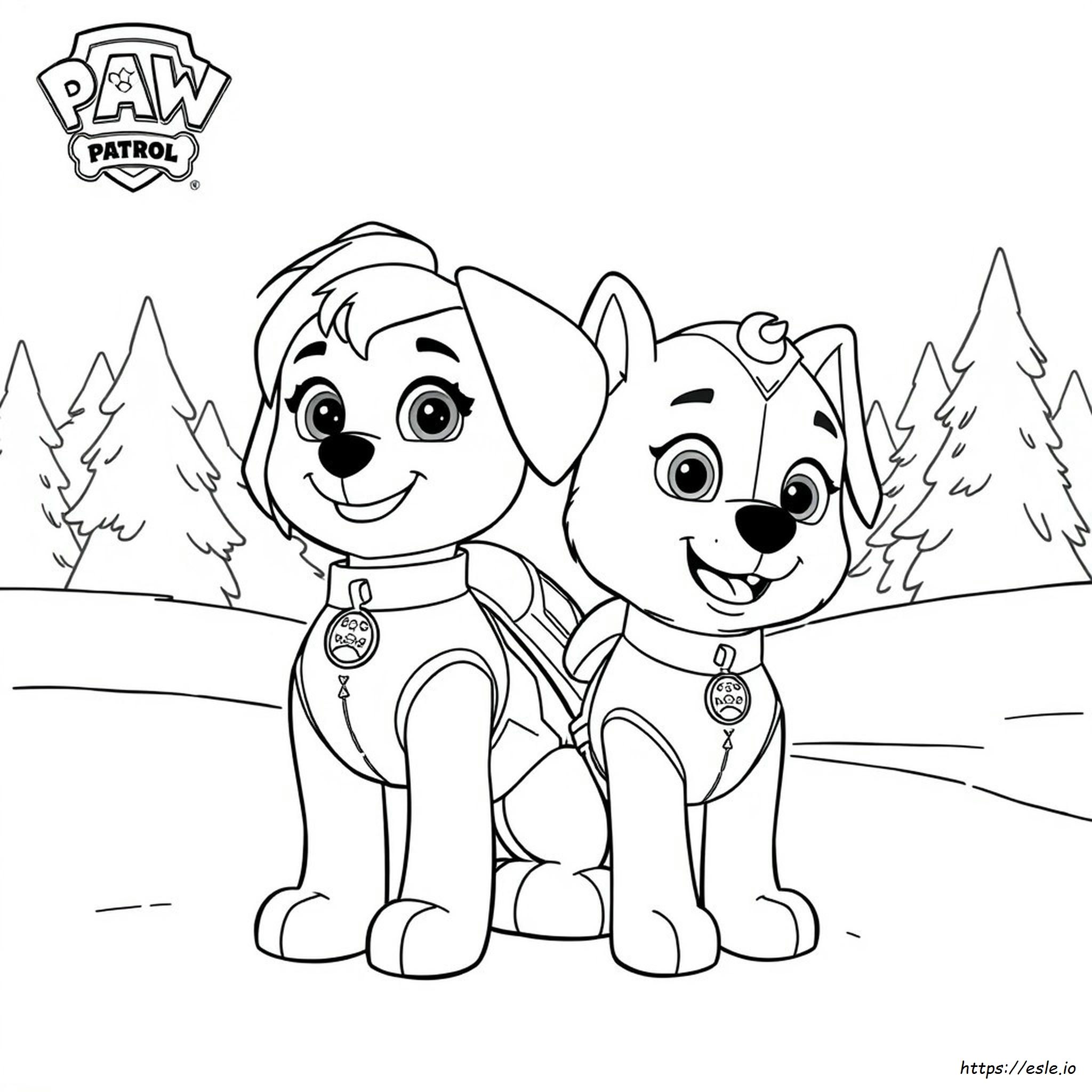 Dibujos De Paw Patrol Para Colorear De Skye Y Everest
