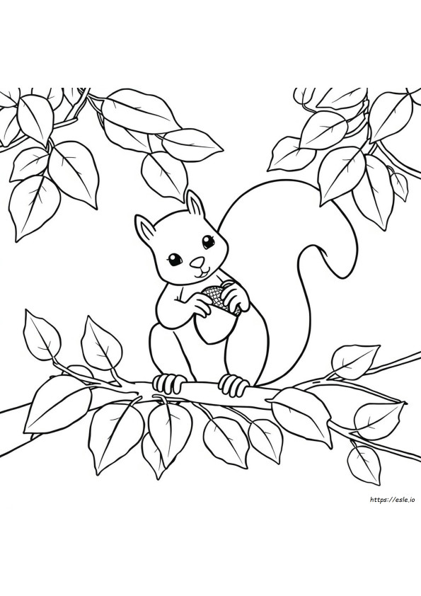 Squirrel Acorn Coloring Page