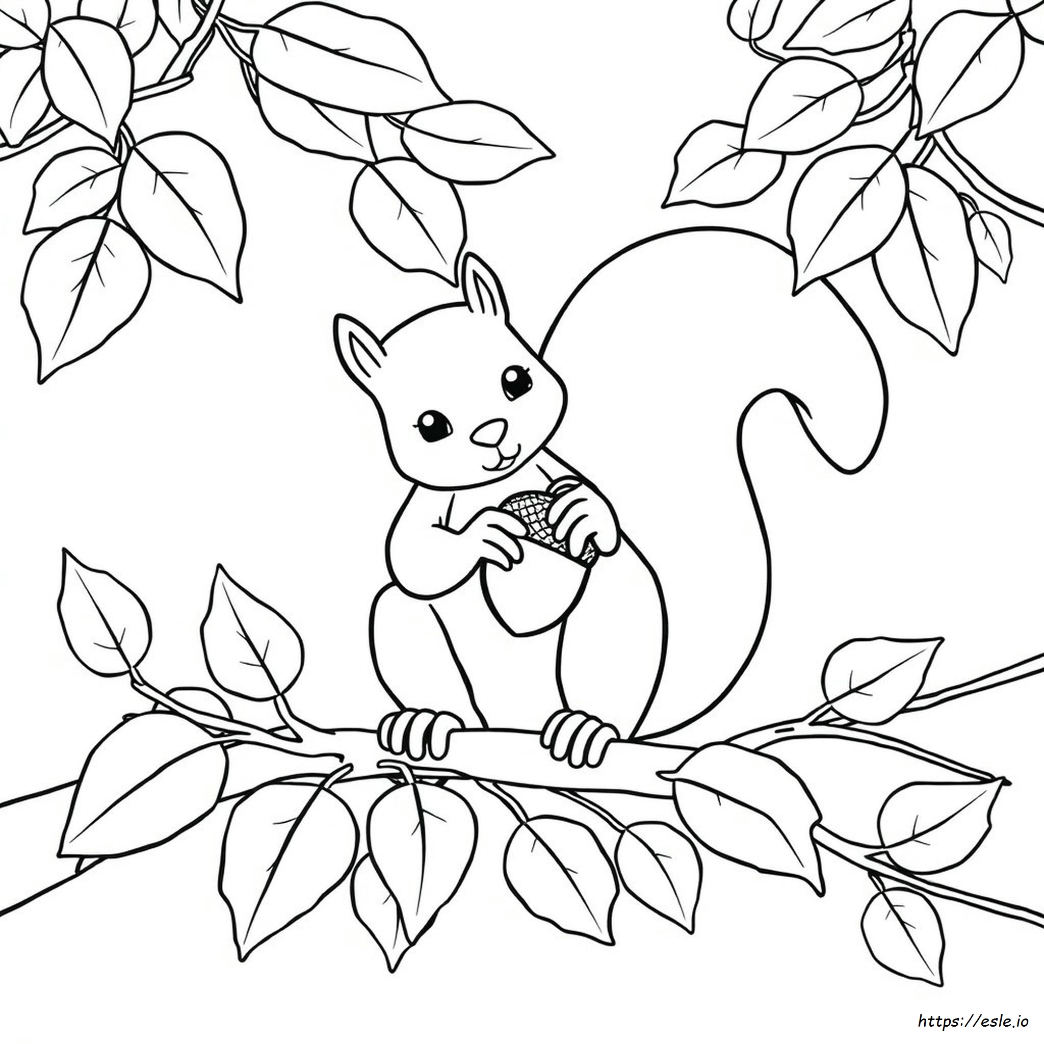 Squirrel Acorn Coloring Page