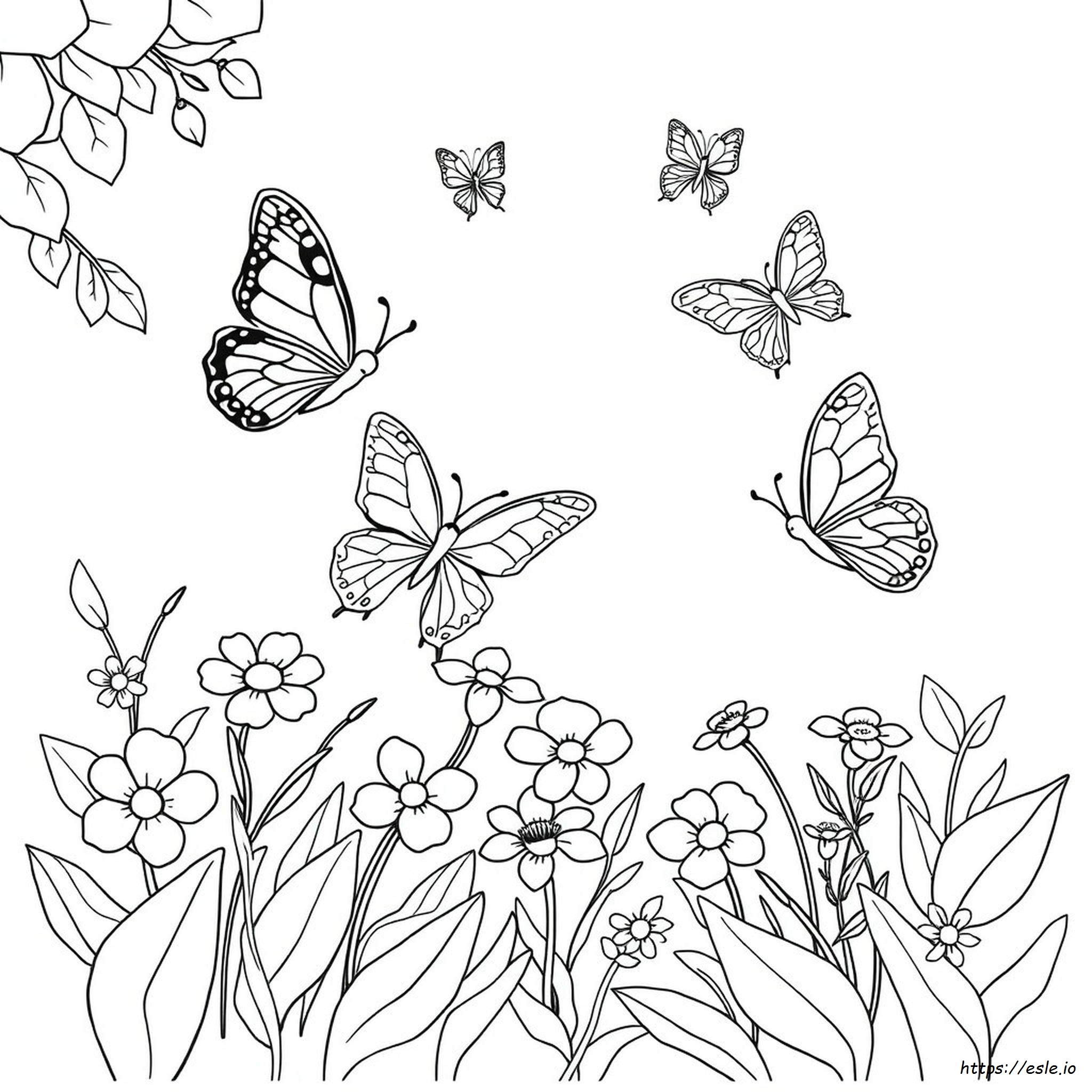 Types Of Colorful Butterflies
