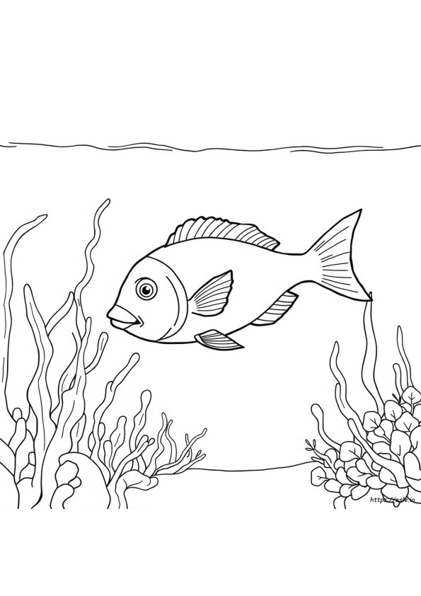 Colouring Picture Of Fish