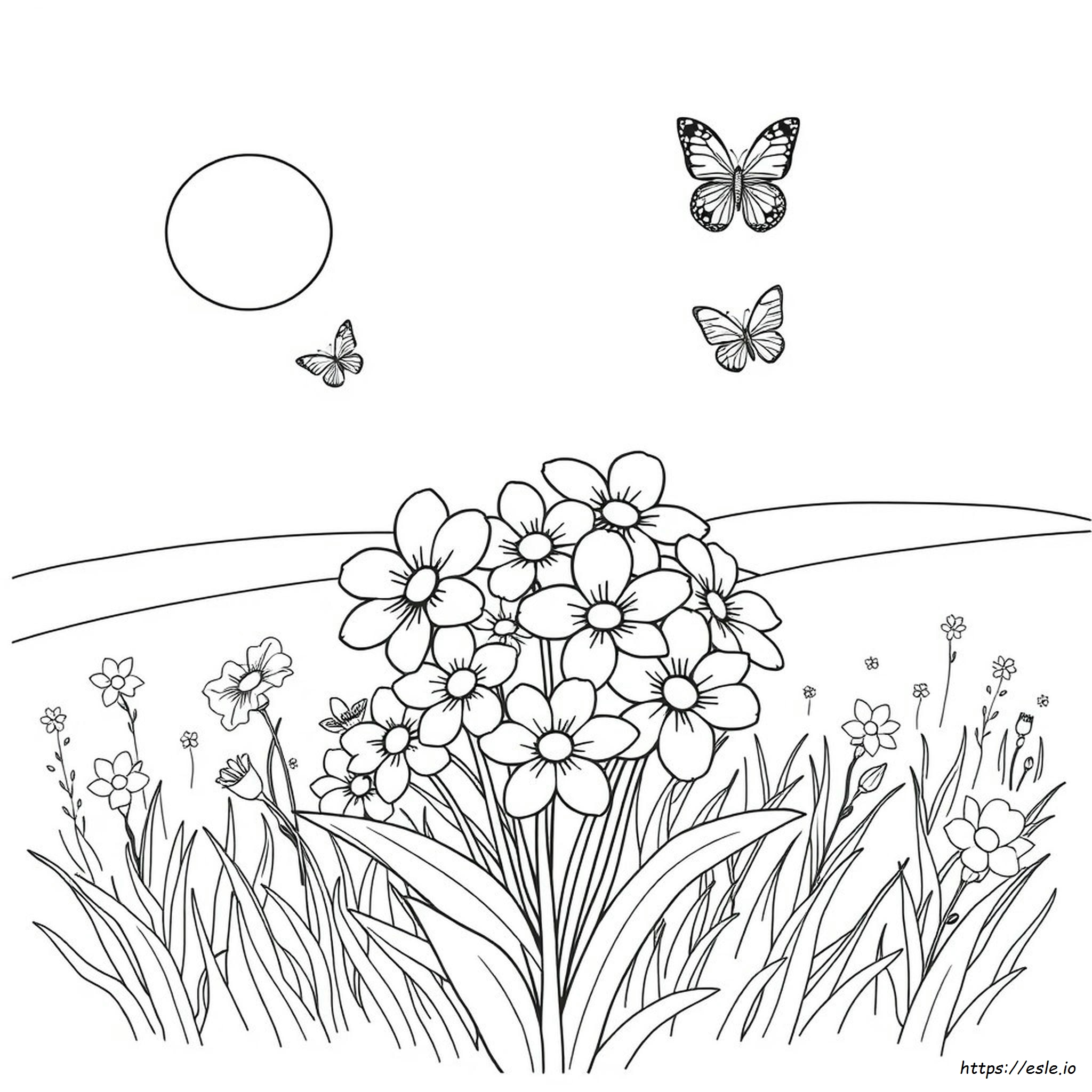 Coloring Sheets Of Flowers