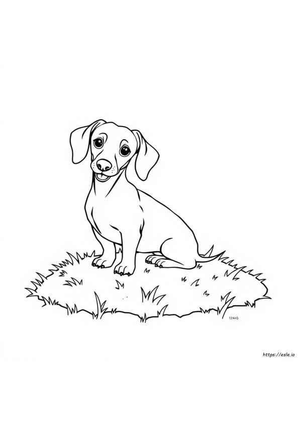 Coloriage Teckel