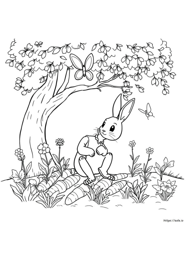 Peter Rabbit Boyama Sayfaları Pdf