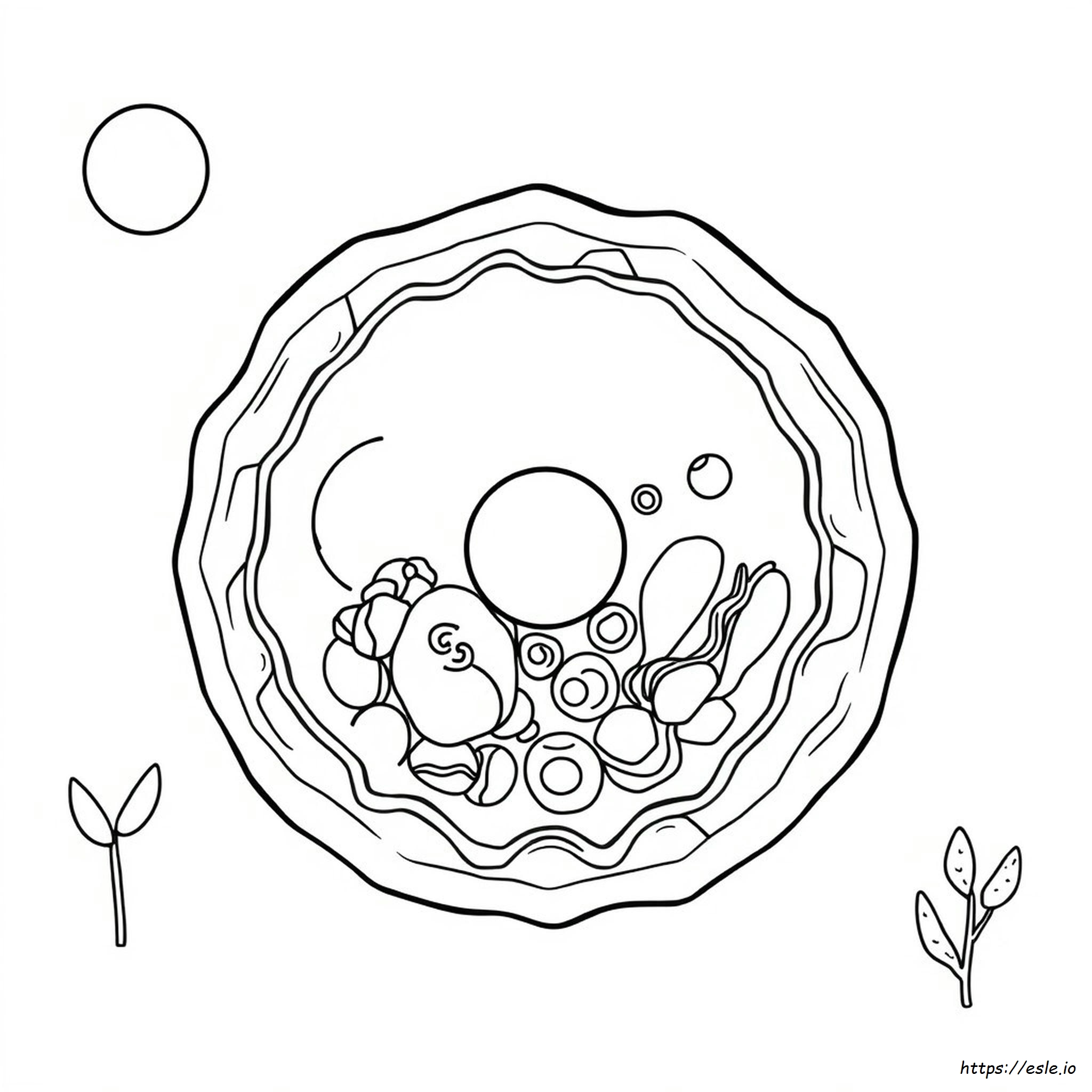Animal Cell Coloring Sheet
