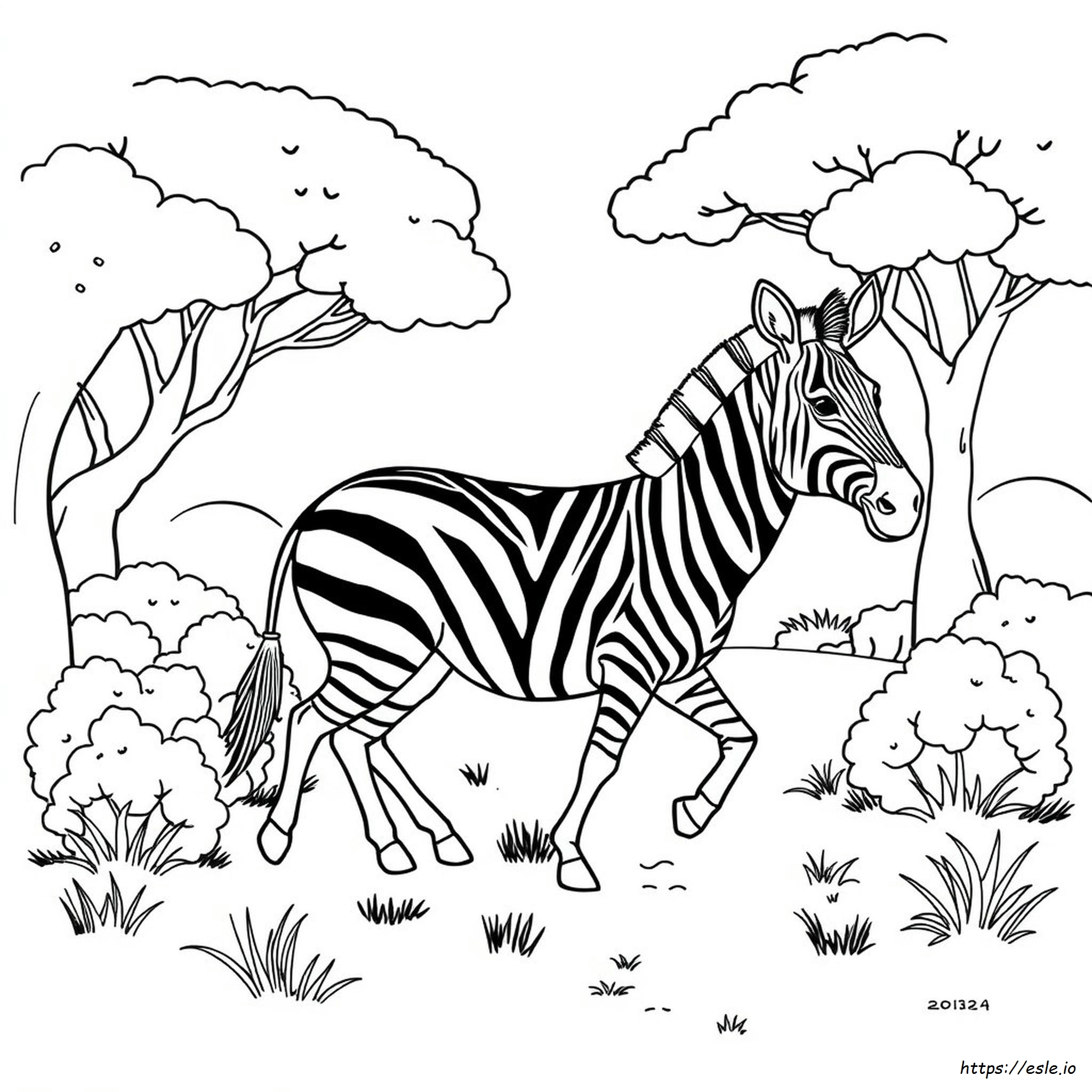 Disegni Da Colorare Di Zebre Per Bambini In Età Prescolare