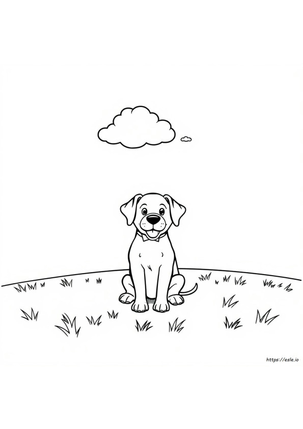 Kolay Köpek Boyama