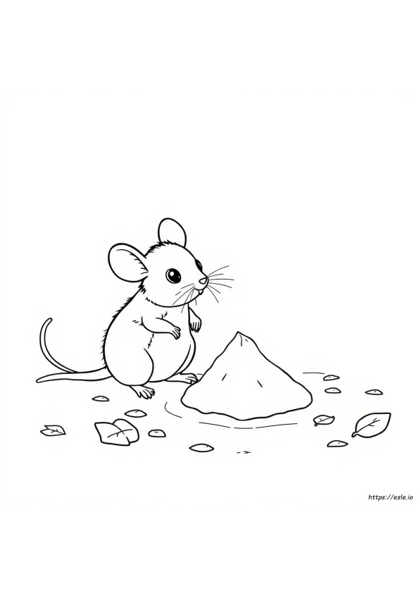 What Color Is Mouse Poop