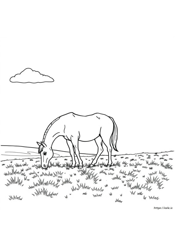 Desenhos De Cavalos Grátis Para Imprimir E Colorir
