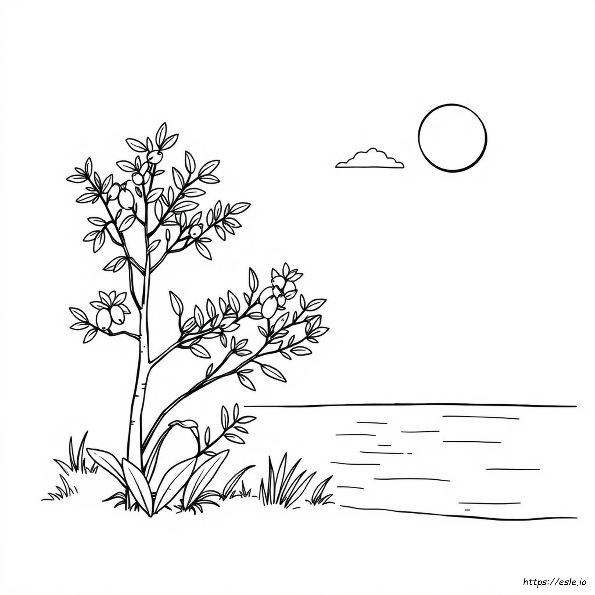 Olive Color Meaning