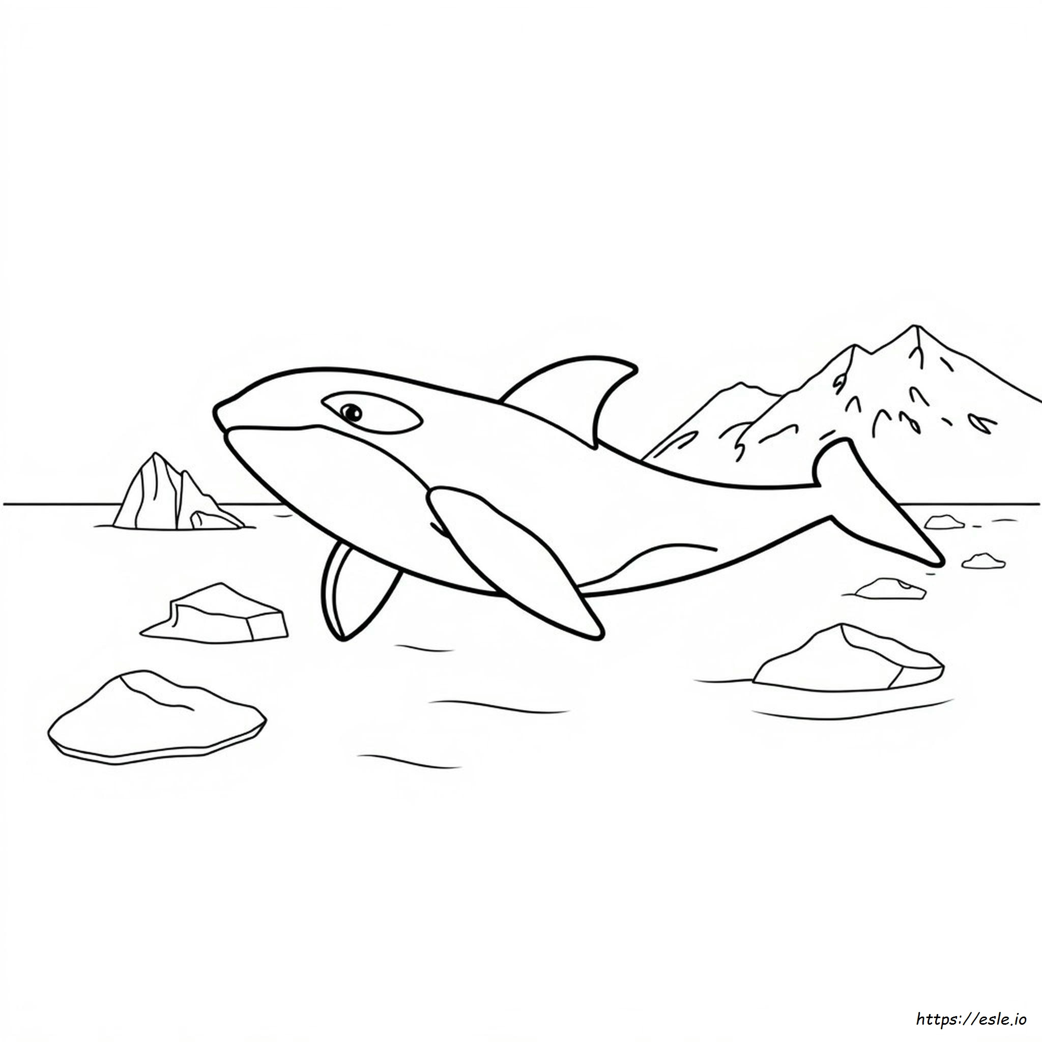 Orca Whale Coloring Page