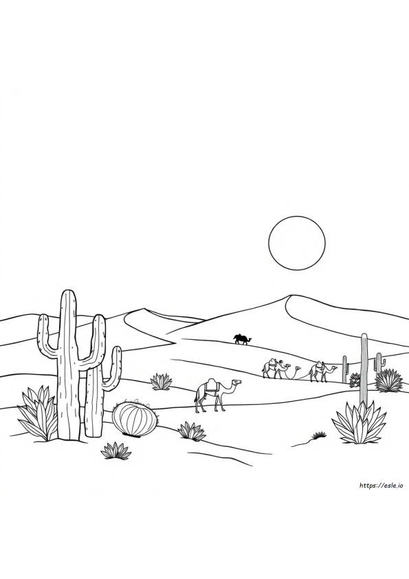 Bioma Deserto Da Colorare