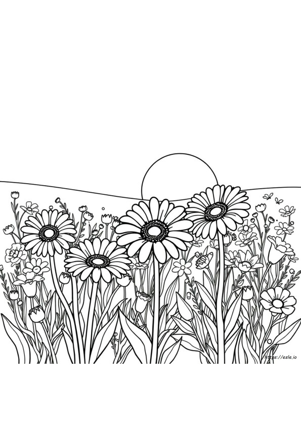 Gerbera Renklerinin Anlamı