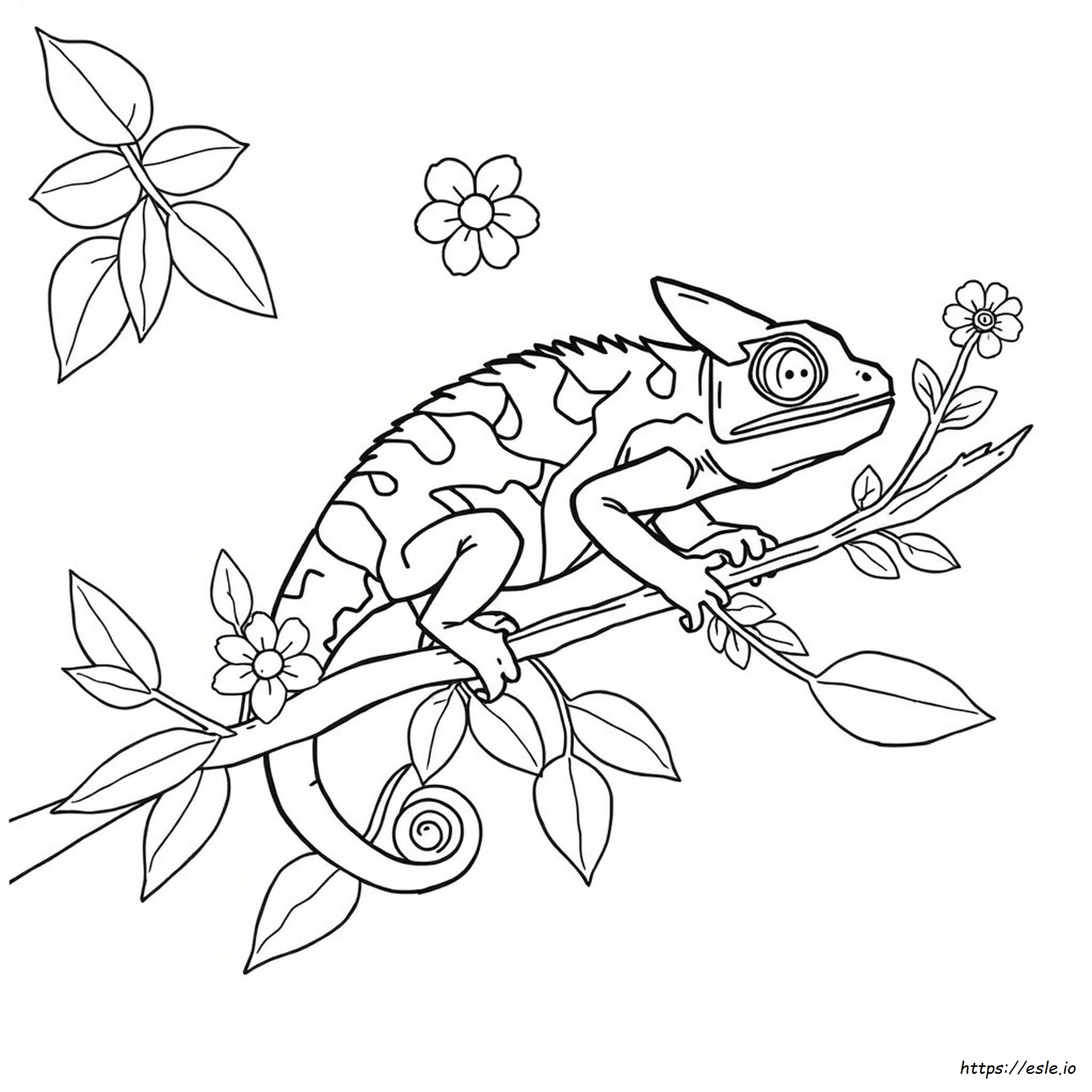 Coloring Page Of A Chameleon