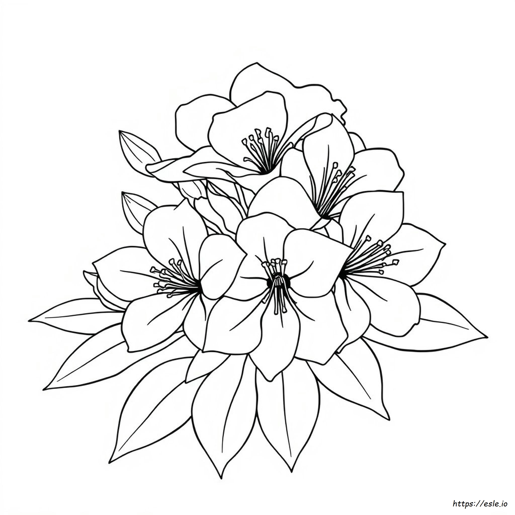 What Color Azalea Flowers