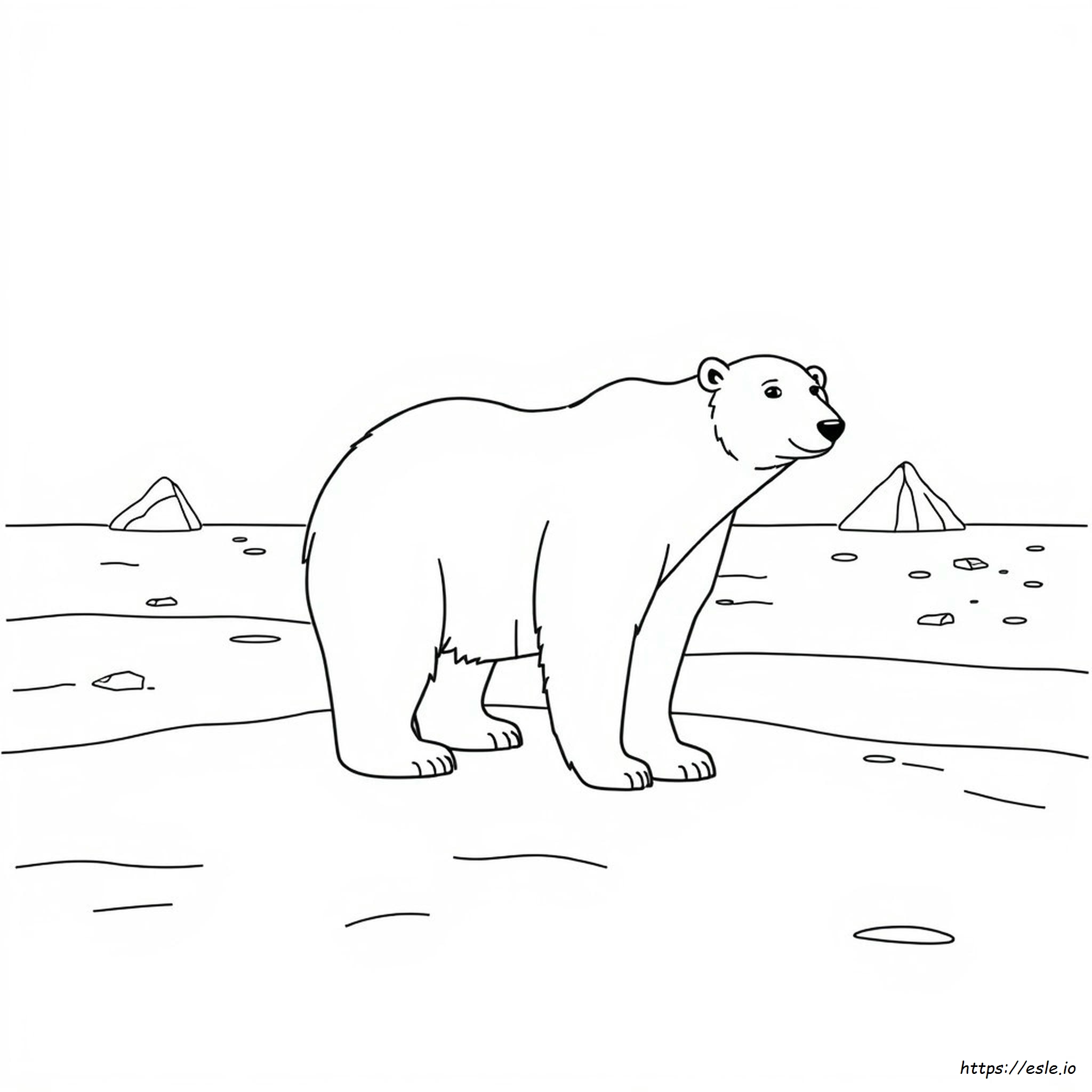 Urs Polar De Colorat