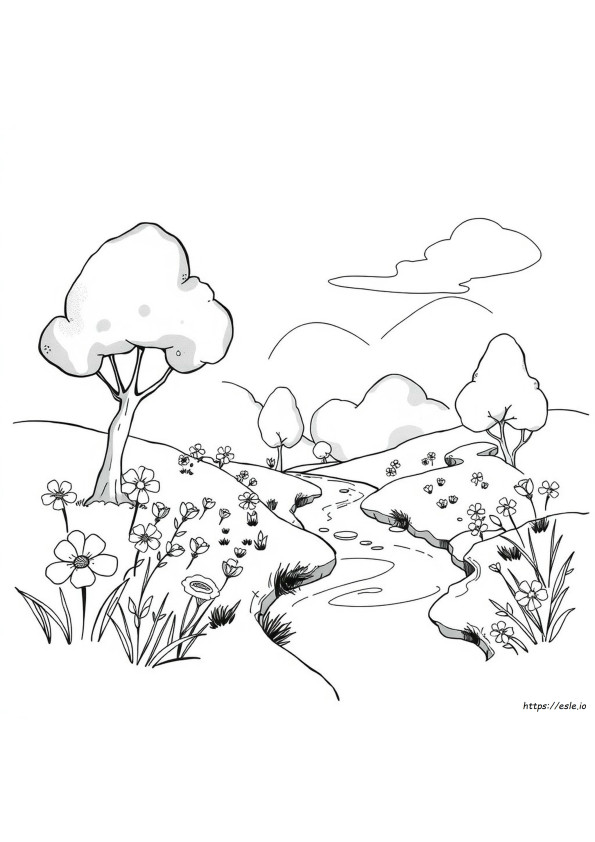 Color Wash Pictures