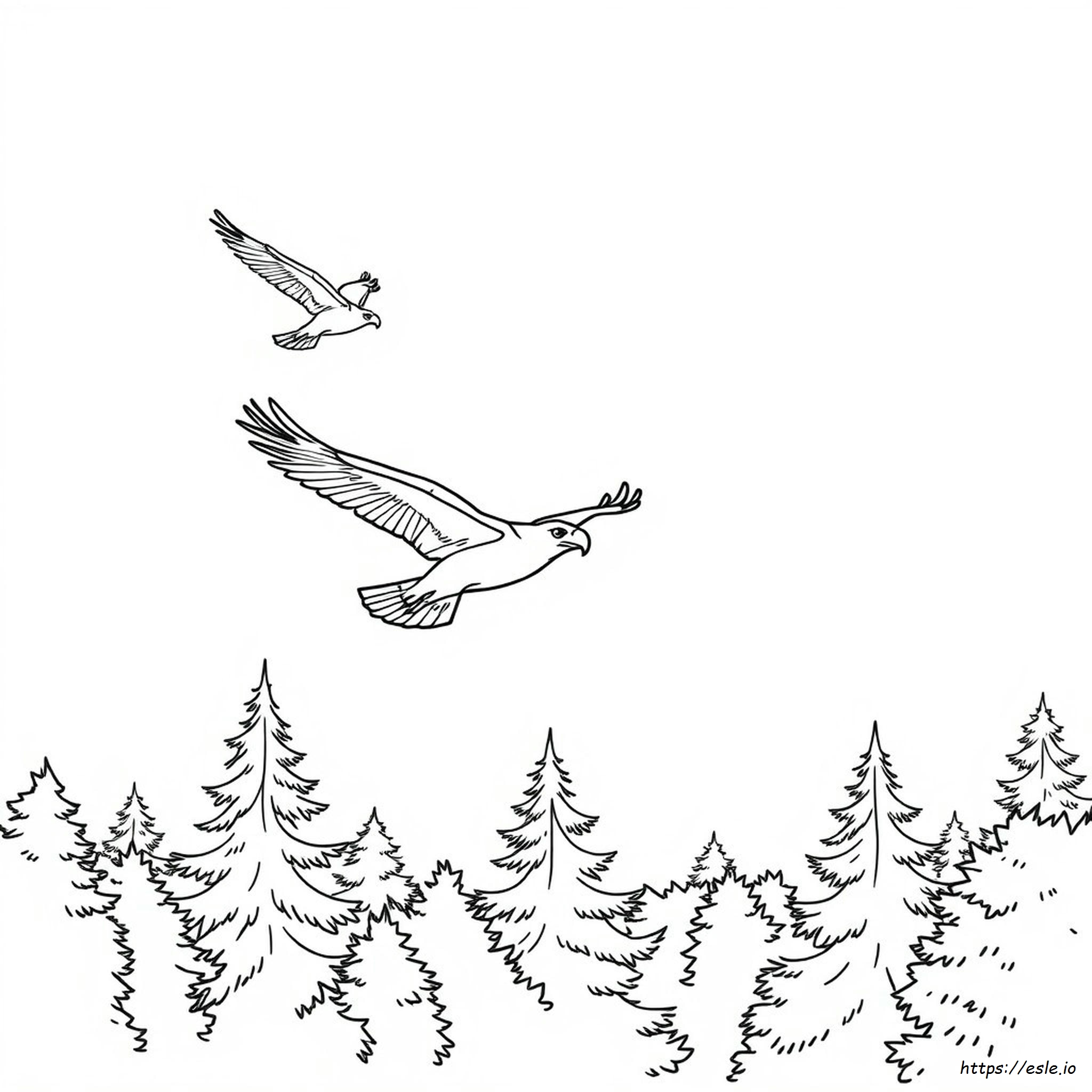Coloring Picture Of A Eagle