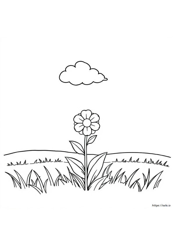 Bloem Om In Te Kleuren
