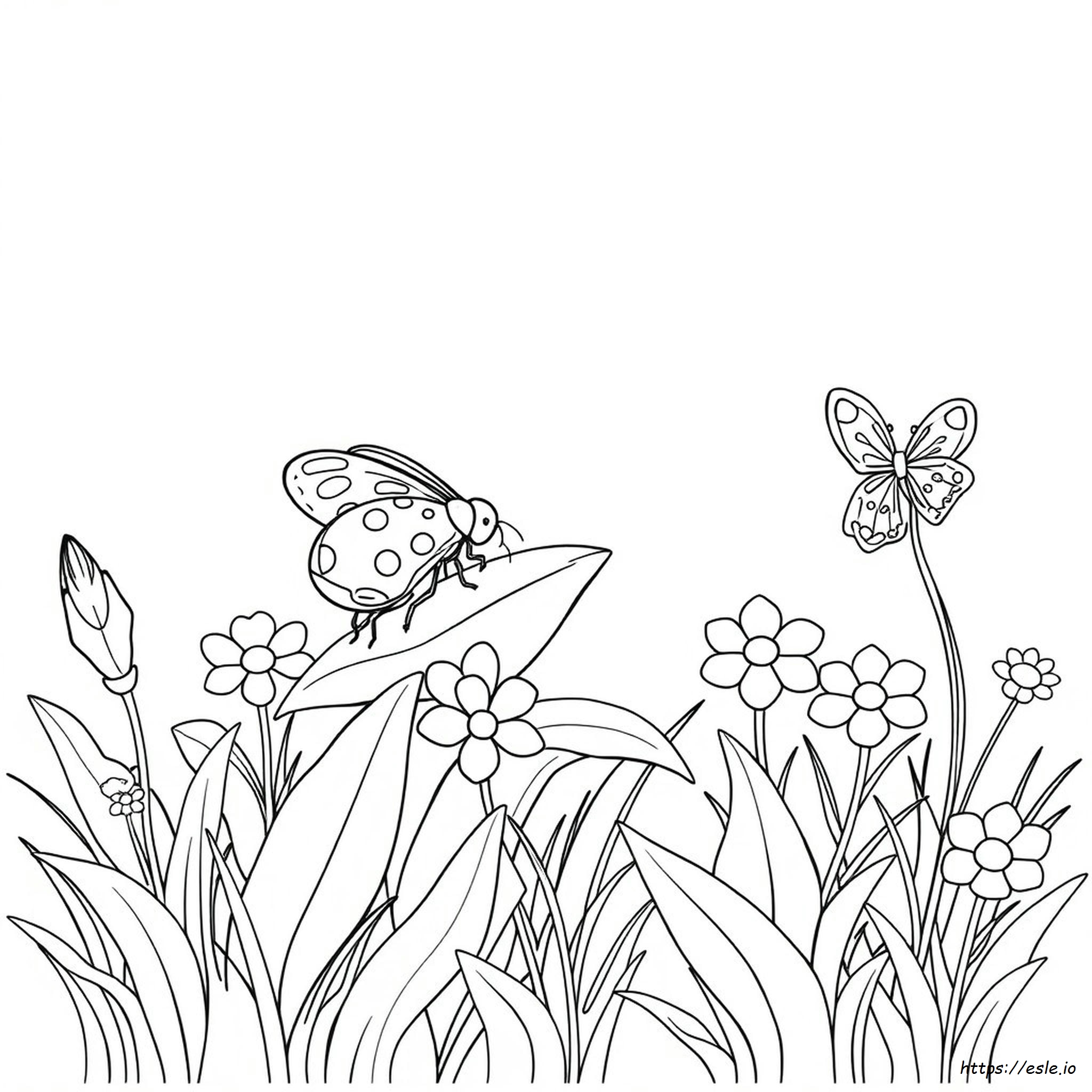 Free Coloring Pages Of Bugs