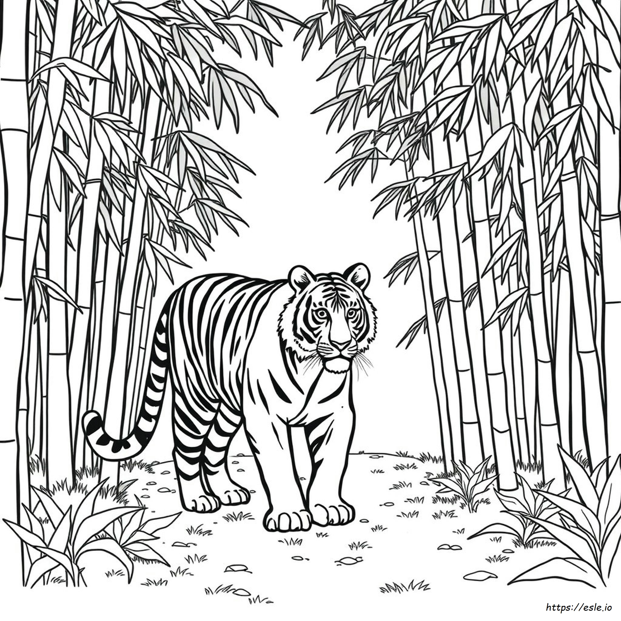 Bengals Para Colorear Gratis