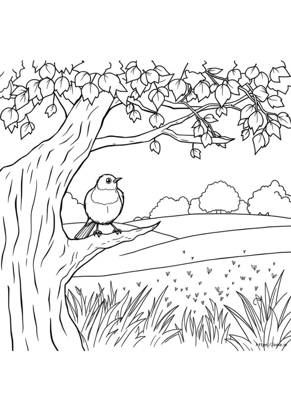 Mewarnai Burung Robin