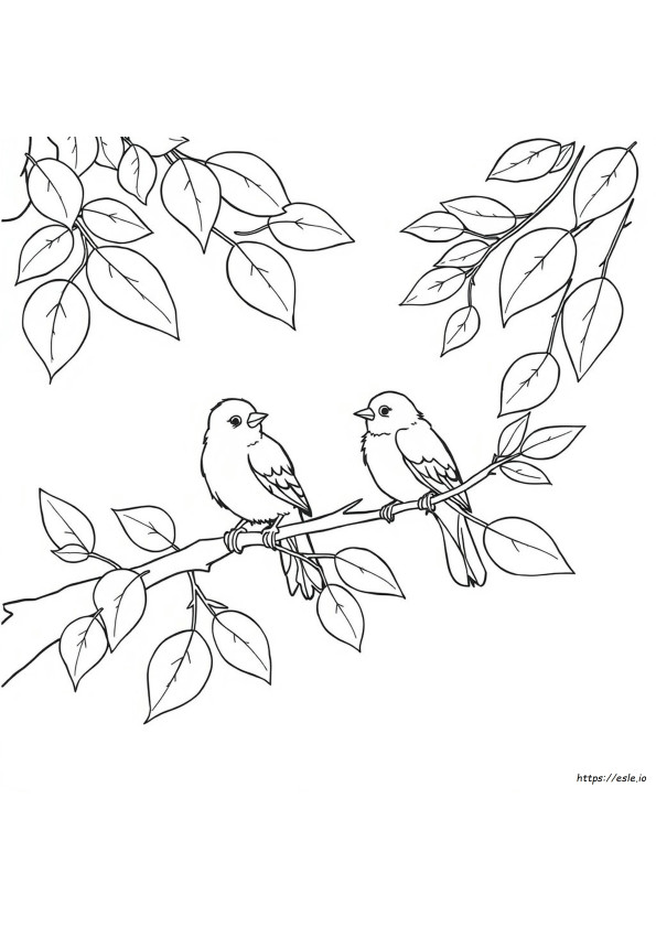 Coloriage Oiseaux Images