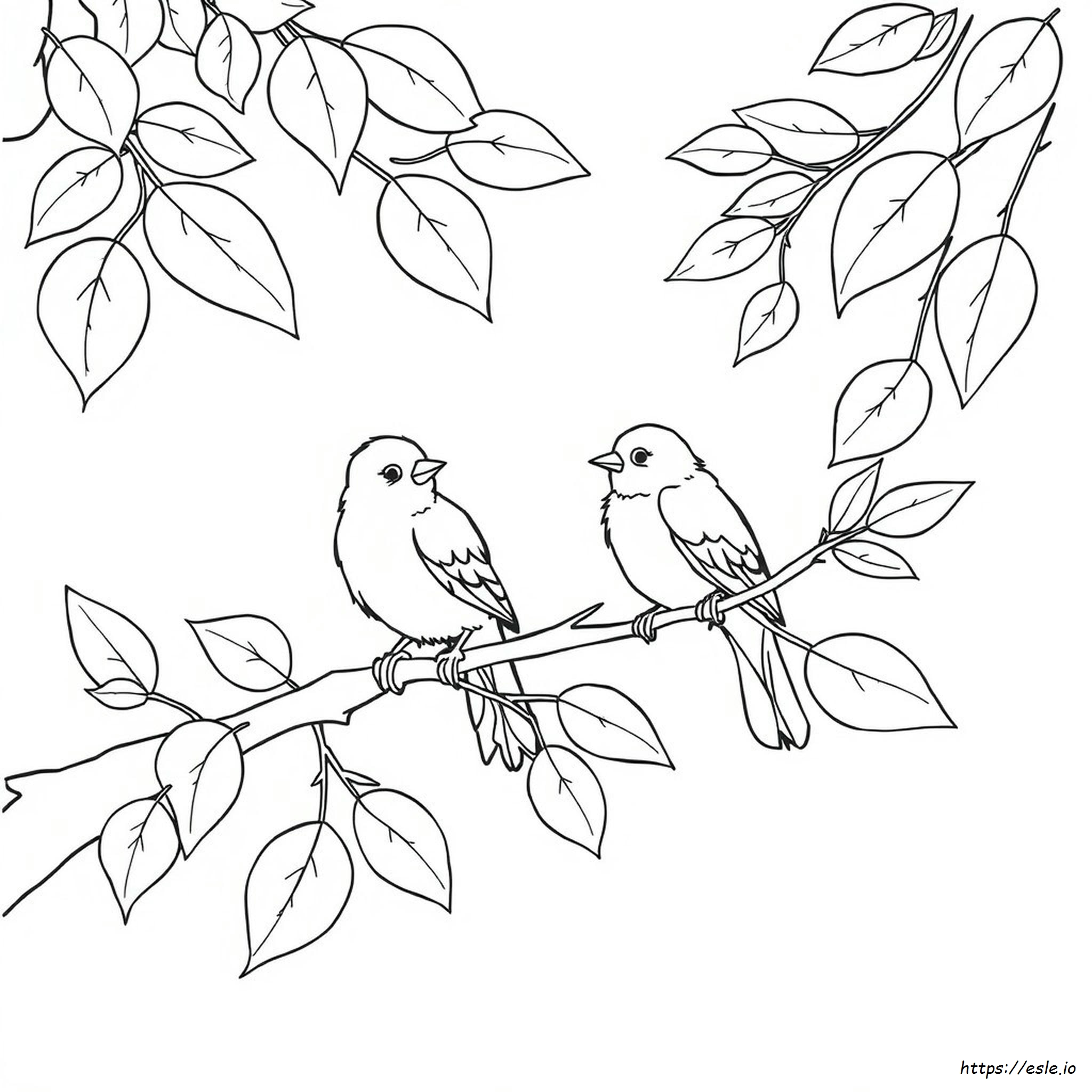 Coloring Birds Images