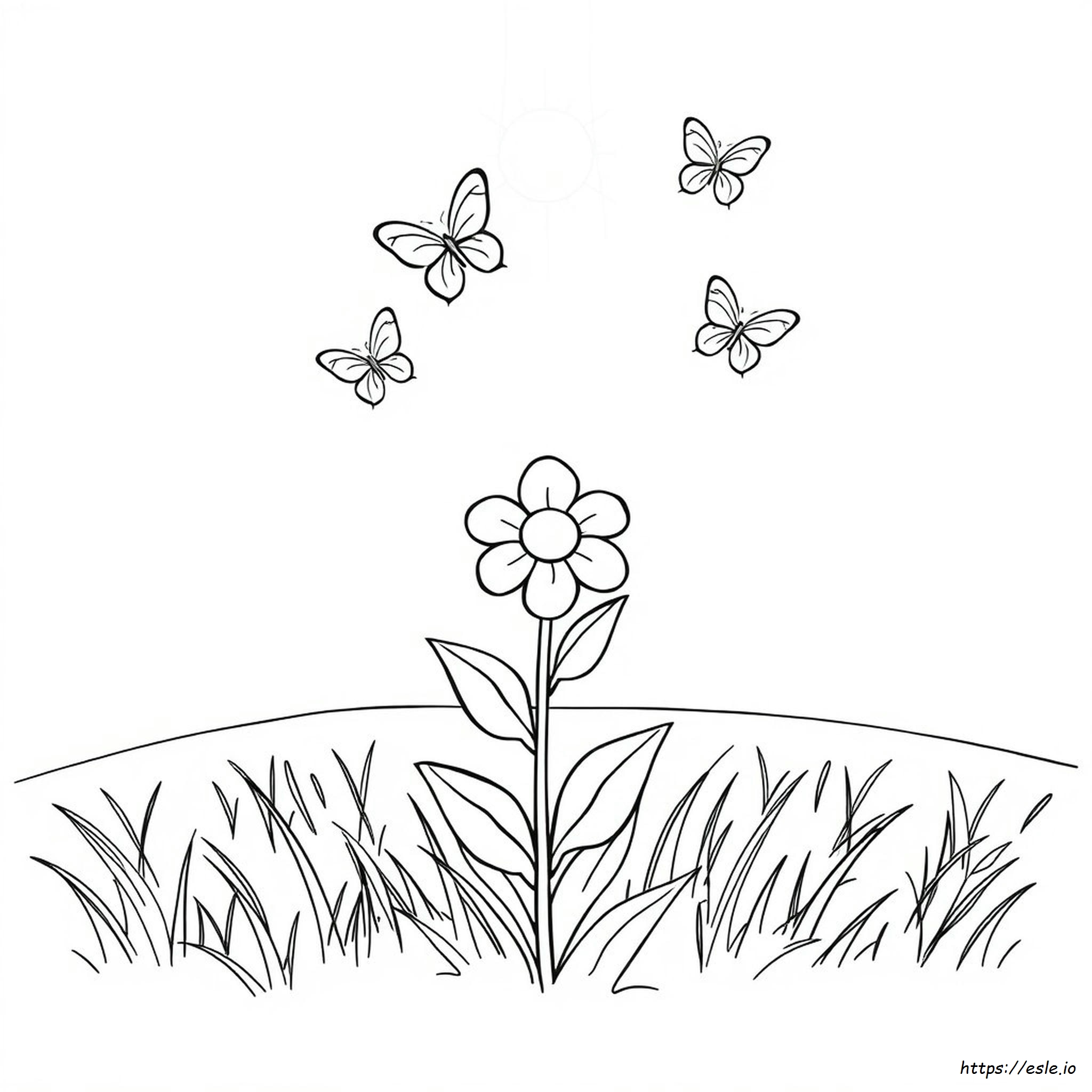 Fiori Da Colorare E Stampare