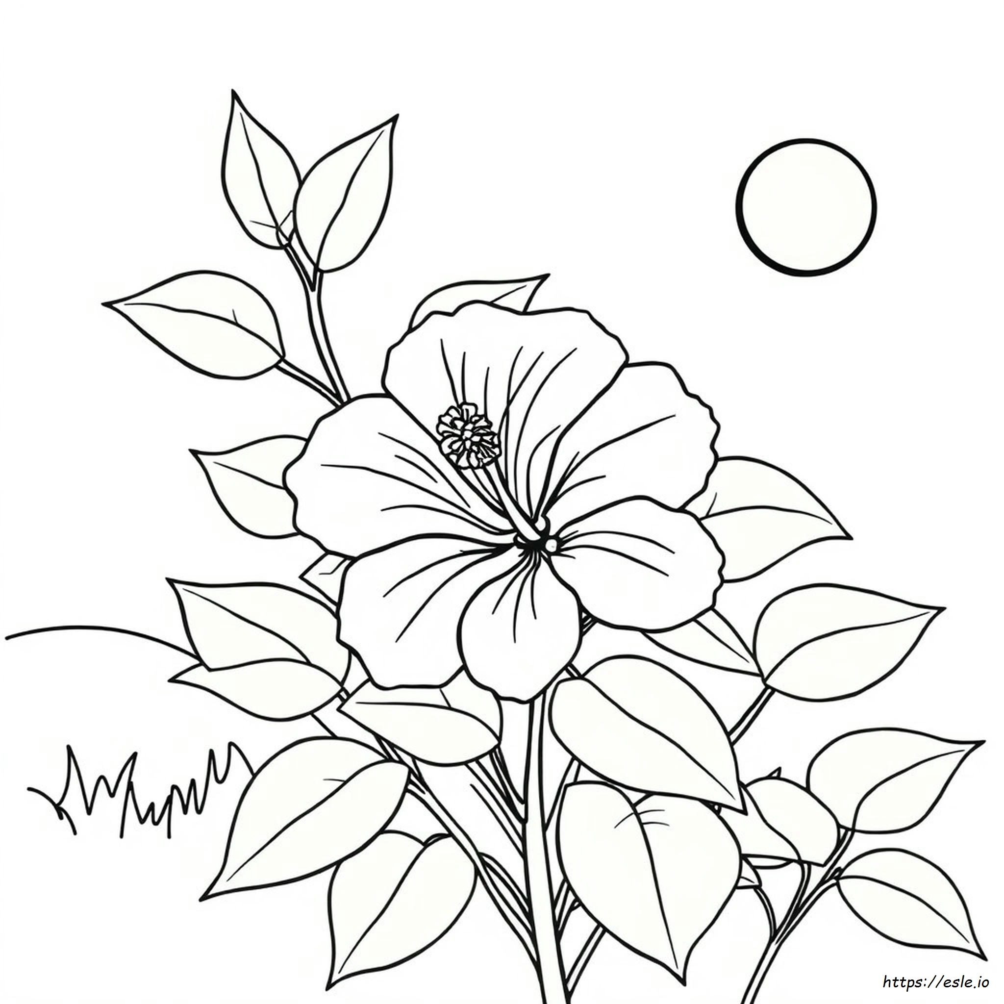 Hibiscus Coloring Pictures