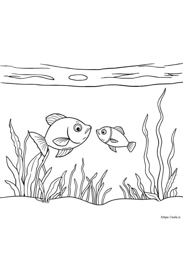 Food Chain Coloring Sheet