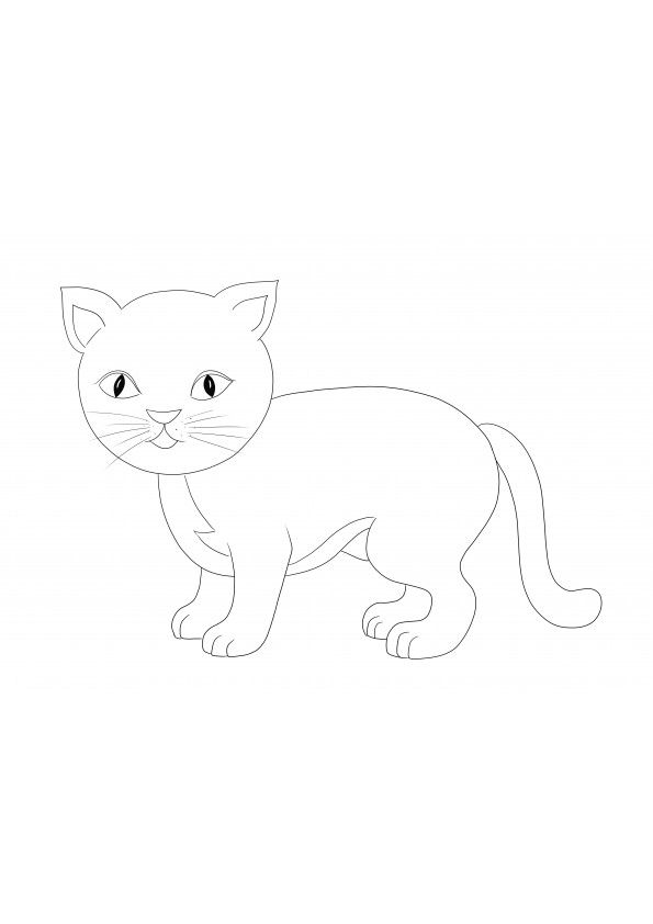 Arkusz do kolorowania dużego grubego kota — łatwy do wydrukowania lub pobrania i wykorzystania za darmo