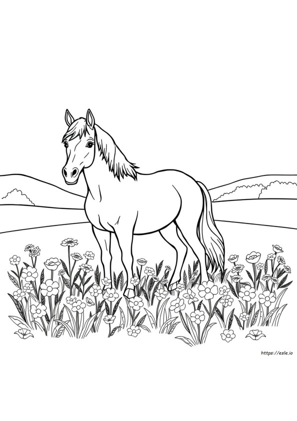 Horse Coloring In