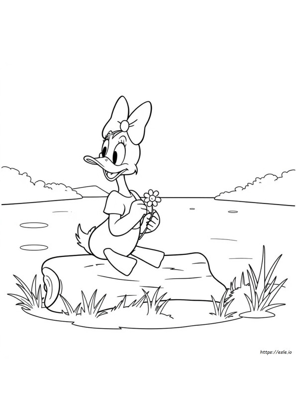Coloriages De Daisy Duck De Disney