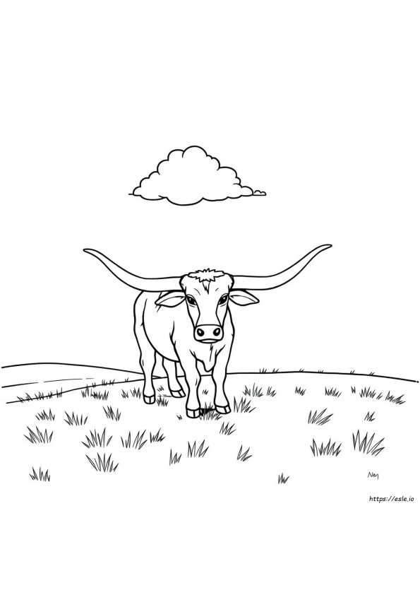 Longhorn Da Colorare
