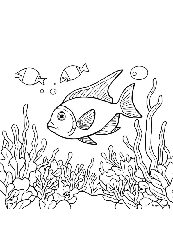 Angel Fish Coloring Pages Printable