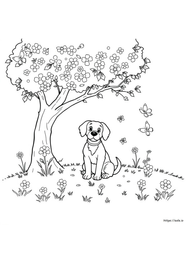 Köpek Boyama Sayfası