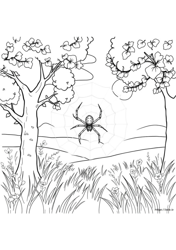 Coloring Web