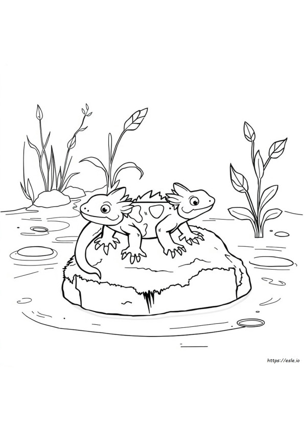 Axolotl Da Colorare