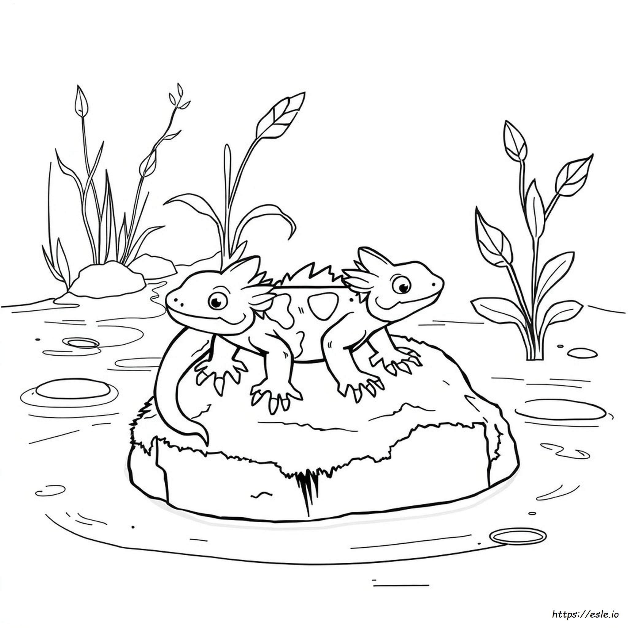 Axolotl Da Colorare