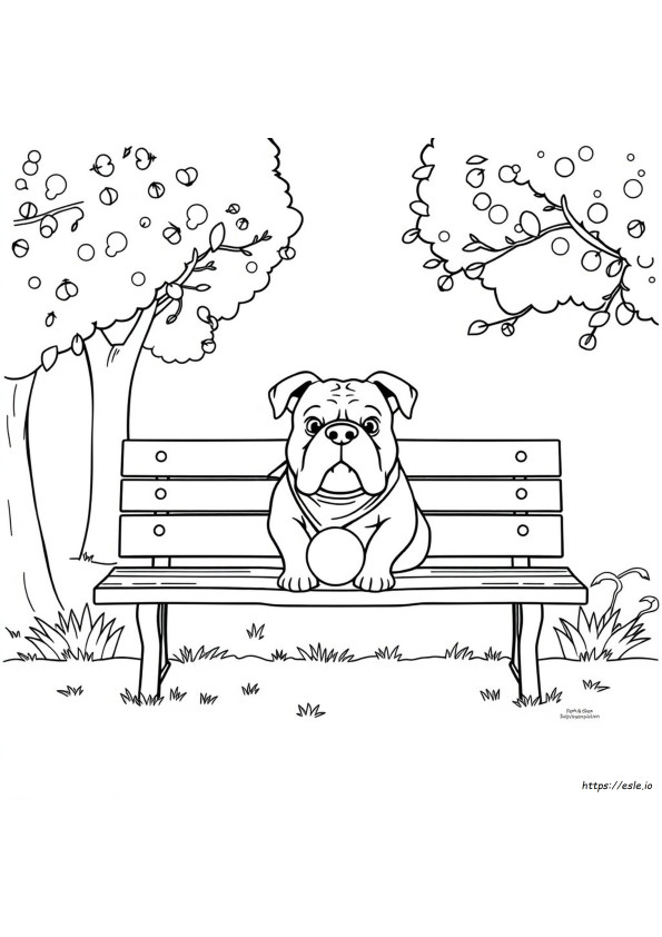 Free Printable Bulldog Coloring Page