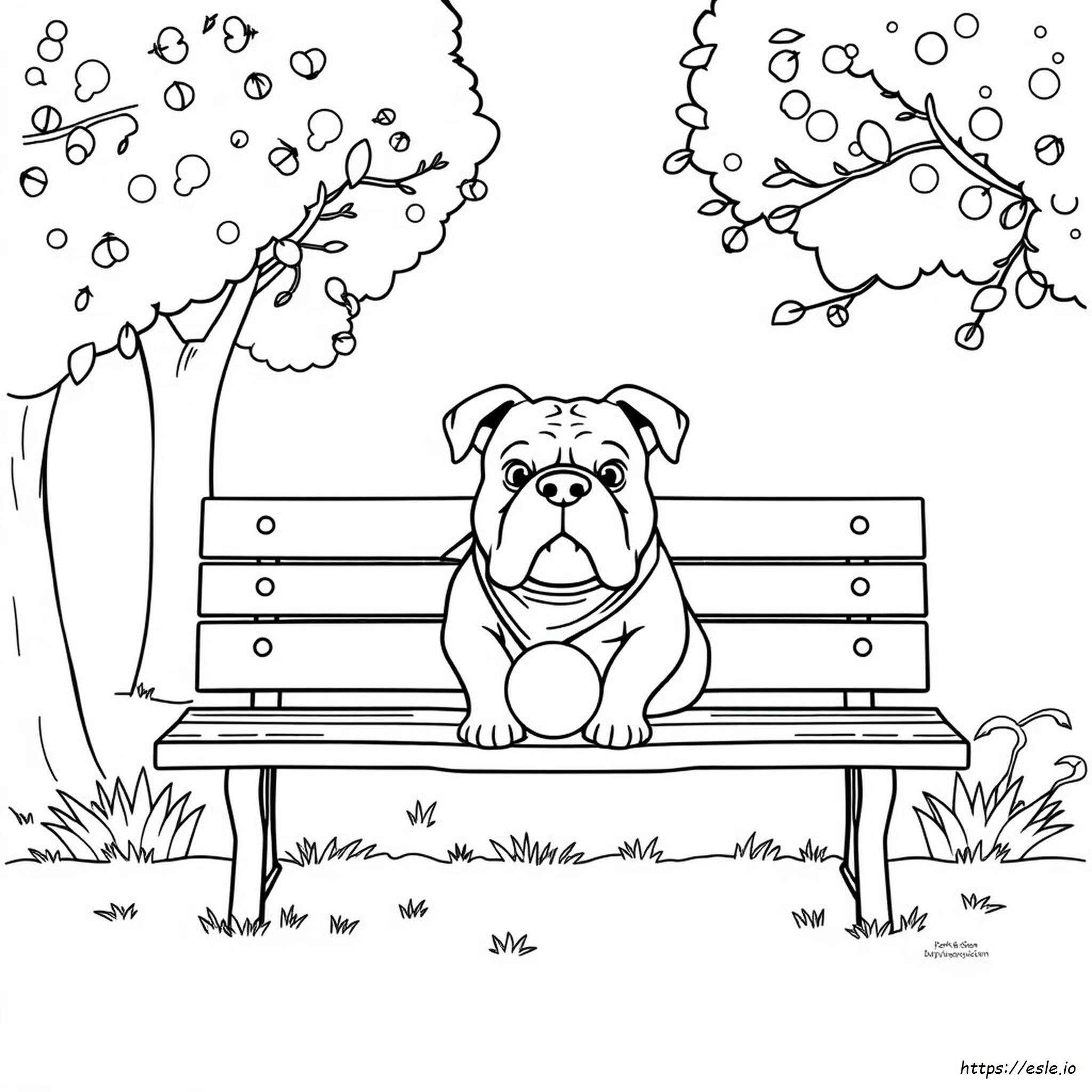 Free Printable Bulldog Coloring Page