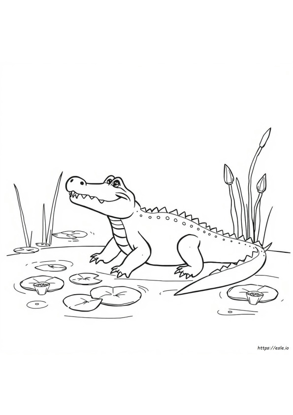 Alligator Colouring In
