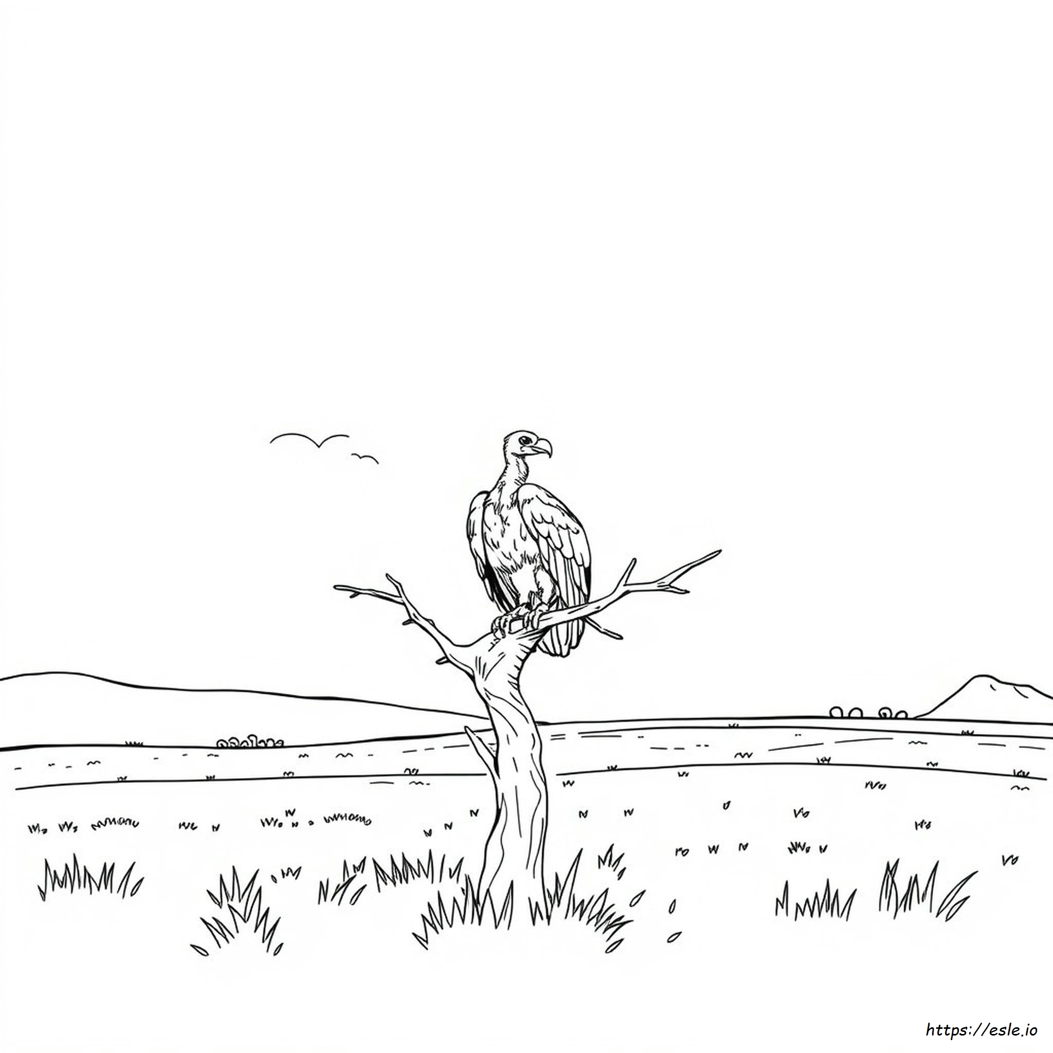 Vulture Coloring Pictures
