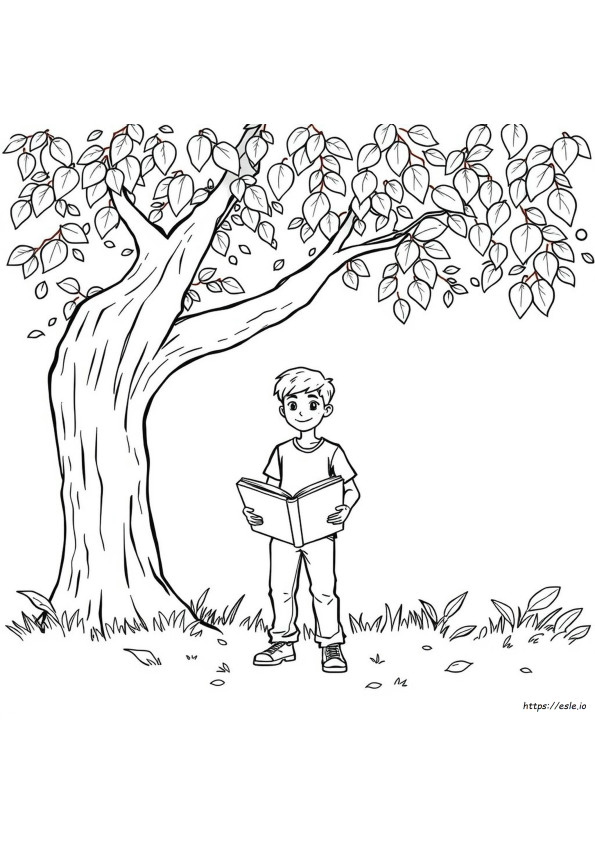 Young Adult Color Pages